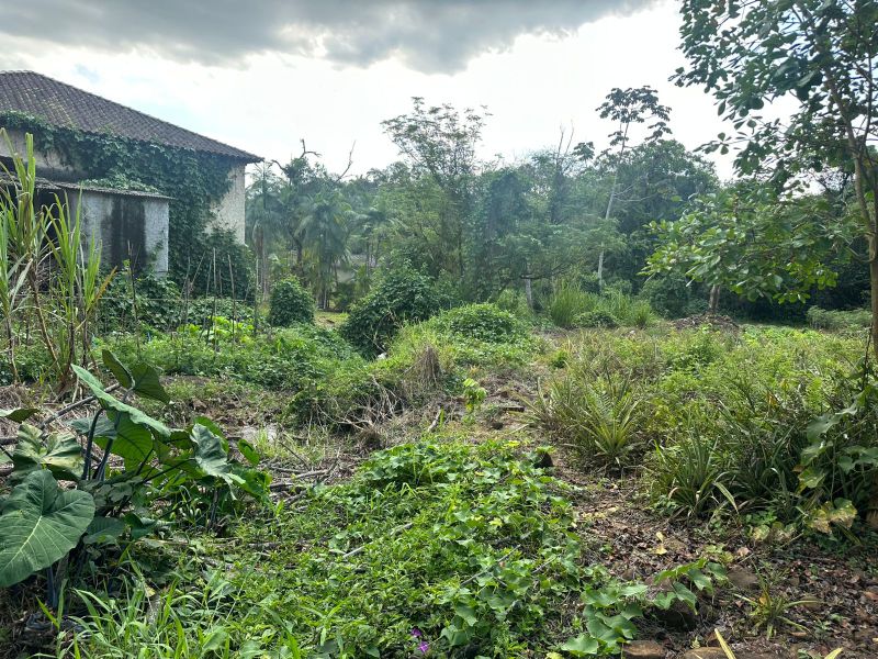 Terreno Urbano de 3.330m² em Nova Veneza, localizado em Nova Veneza - SC, bairro Nova Veneza