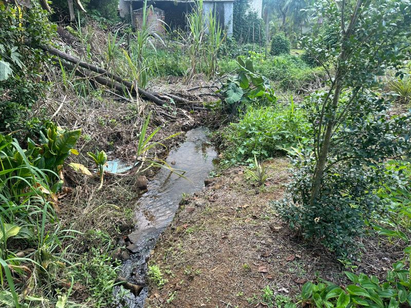 Terreno Urbano de 3.330m² em Nova Veneza, localizado em Nova Veneza - SC, bairro Nova Veneza