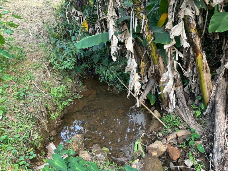 Terreno Urbano de 3.330m² em Nova Veneza, localizado em Nova Veneza - SC, bairro Nova Veneza