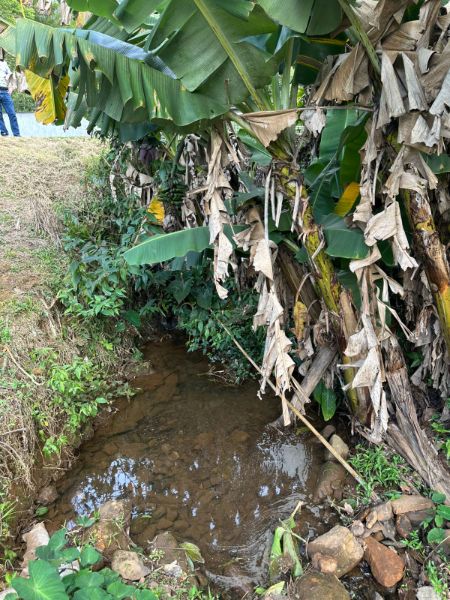 Terreno Urbano de 3.330m² em Nova Veneza, localizado em Nova Veneza - SC, bairro Nova Veneza