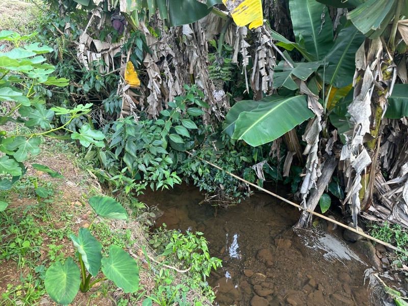Terreno Urbano de 3.330m² em Nova Veneza, localizado em Nova Veneza - SC, bairro Nova Veneza
