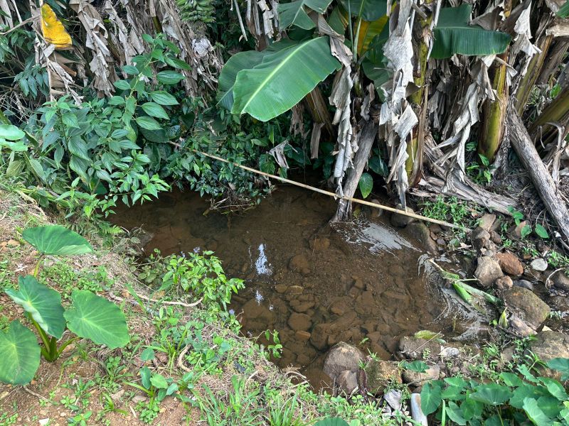 Terreno Urbano de 3.330m² em Nova Veneza, localizado em Nova Veneza - SC, bairro Nova Veneza