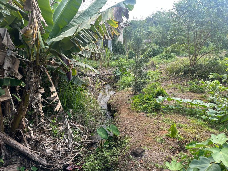 Terreno Urbano de 3.330m² em Nova Veneza, localizado em Nova Veneza - SC, bairro Nova Veneza