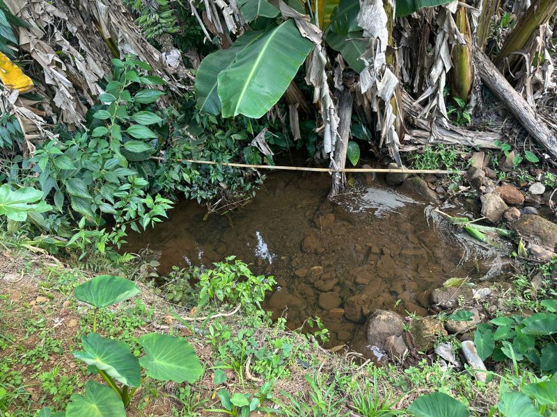 Terreno Urbano de 3.330m² em Nova Veneza, localizado em Nova Veneza - SC, bairro Nova Veneza