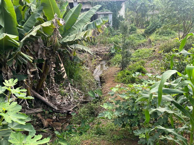 Terreno Urbano de 3.330m² em Nova Veneza, localizado em Nova Veneza - SC, bairro Nova Veneza