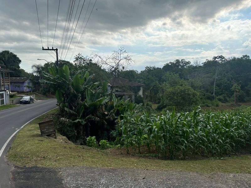 Terreno Urbano de 3.330m² em Nova Veneza, localizado em Nova Veneza - SC, bairro Nova Veneza