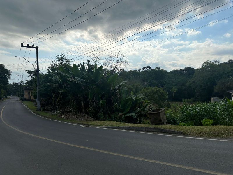Terreno Urbano de 3.330m² em Nova Veneza, localizado em Nova Veneza - SC, bairro Nova Veneza
