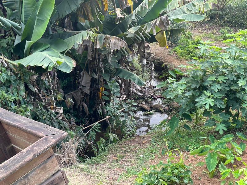 Terreno Urbano de 3.330m² em Nova Veneza, localizado em Nova Veneza - SC, bairro Nova Veneza