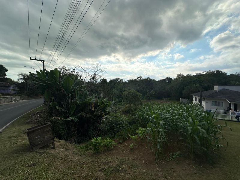 Terreno Urbano de 3.330m² em Nova Veneza, localizado em Nova Veneza - SC, bairro Nova Veneza