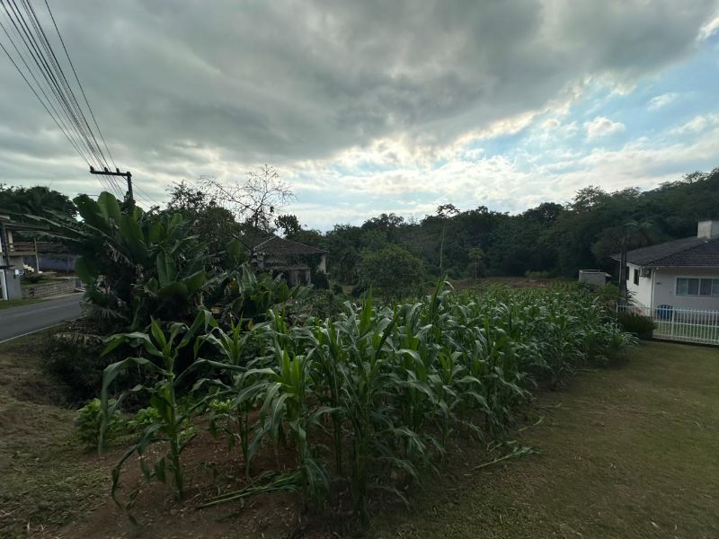 Terreno Urbano de 3.330m² em Nova Veneza, localizado em Nova Veneza - SC, bairro Nova Veneza