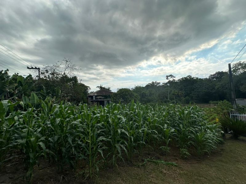 Terreno Urbano de 3.330m² em Nova Veneza, localizado em Nova Veneza - SC, bairro Nova Veneza