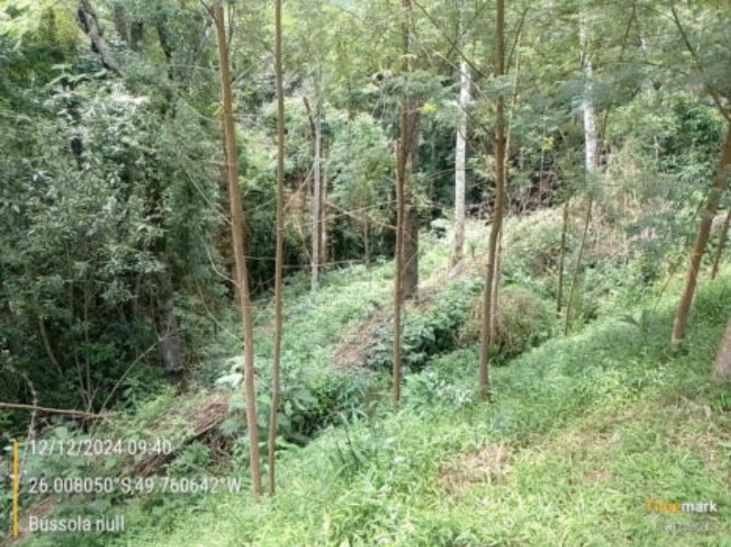 Terreno rural em campo tenente