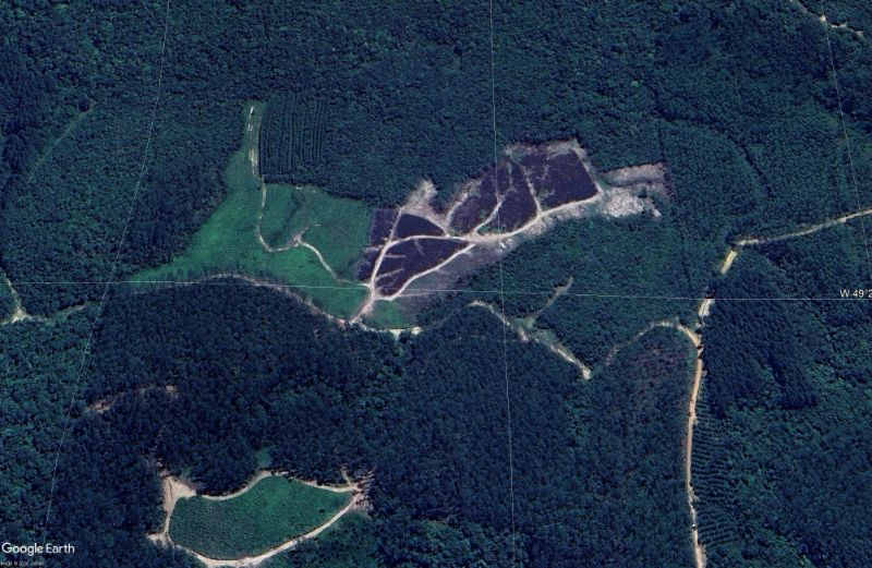 Gleba (foto 2 de 3)