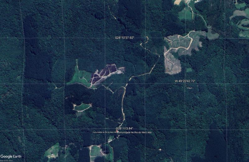 Terreno em Leilão em Grão Pará / SC - 231730