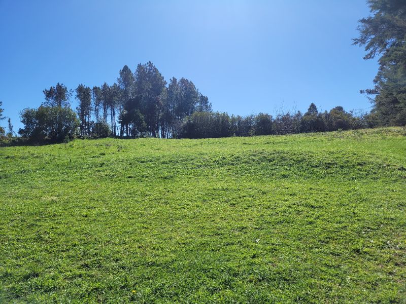 Terreno urbano 858m², são joaquim - sc.