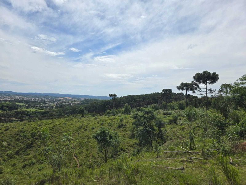 Área rural 280.000,00m² - 28ha Correia Pinto/SC