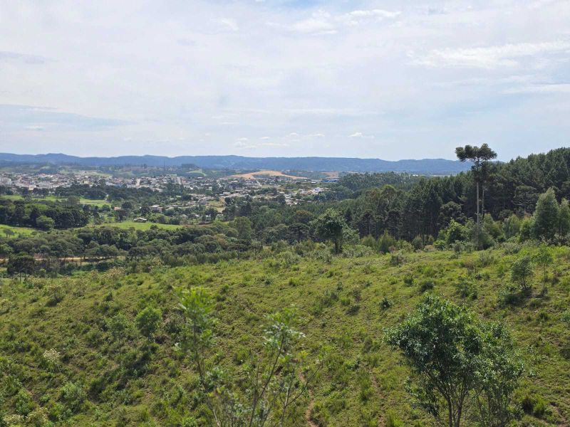 Área rural 280.000,00m² - 28ha Correia Pinto/SC, localizado em Correia Pinto - SC