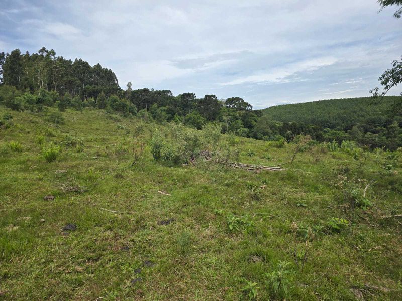 Área rural 280.000,00m² - 28ha Correia Pinto/SC, localizado em Correia Pinto - SC