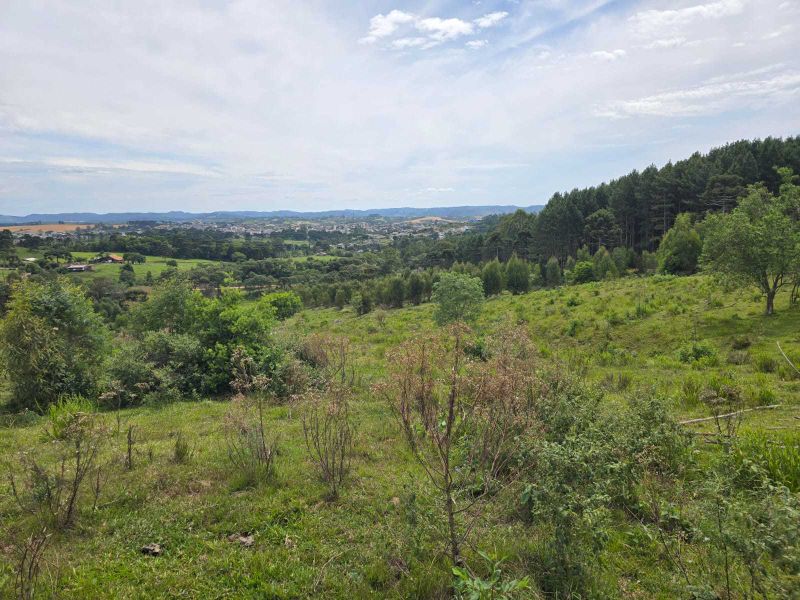 Área rural 280.000,00m² - 28ha Correia Pinto/SC, localizado em Correia Pinto - SC