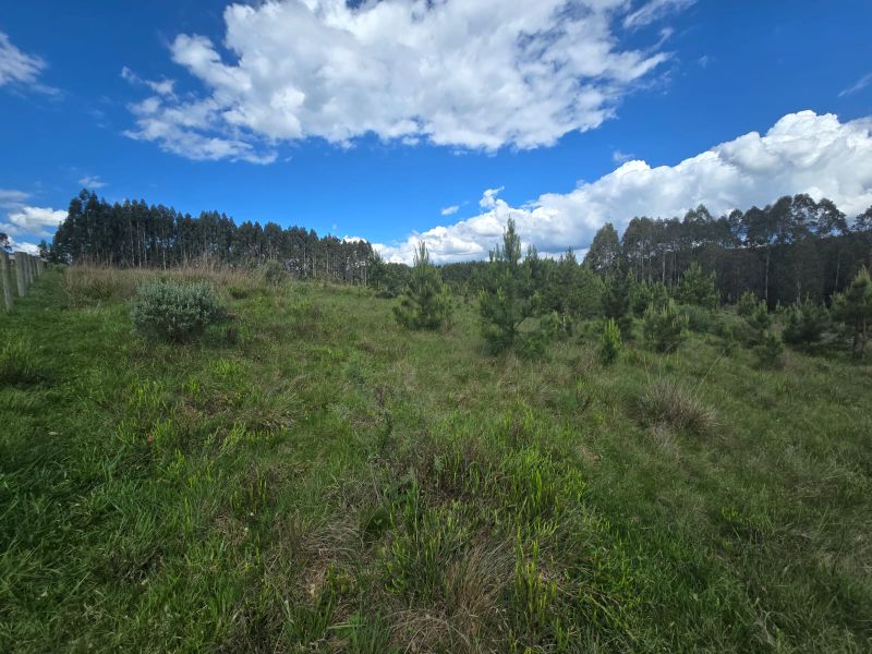 Área Rural 41.200,00m², Chapada, Lages/SC, localizado em Lages - SC