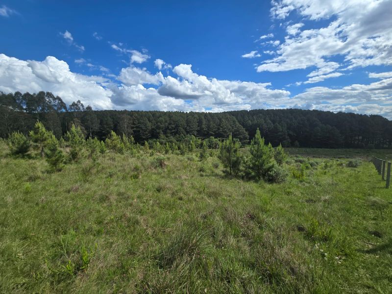 Área Rural 41.200,00m², Chapada, Lages/SC, localizado em Lages - SC