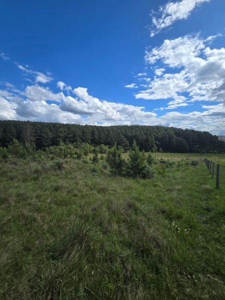 Área Rural 41.200,00m², Chapada, Lages/SC, localizado em Lages - SC