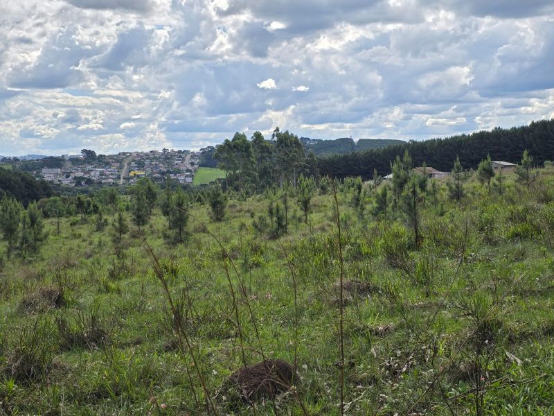 Área Rural 41.200,00m², Chapada, Lages/SC