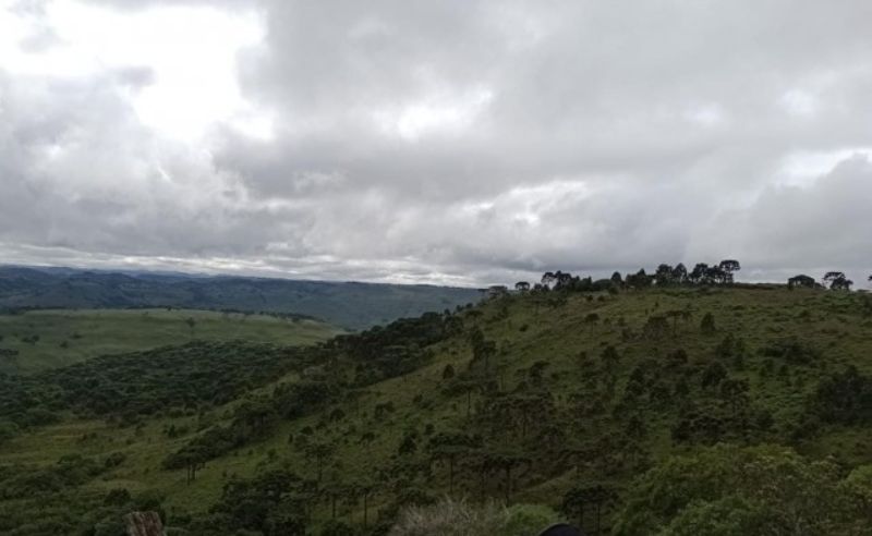 Fazenda 467ha, Morrinhos, Lages - SC, localizado em Lages - SC