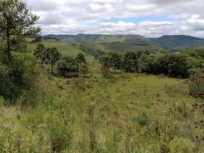 Fazenda 467ha, Morrinhos, Lages - SC