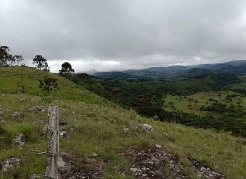 Fazenda 467ha, Morrinhos, Lages - SC, localizado em Lages - SC