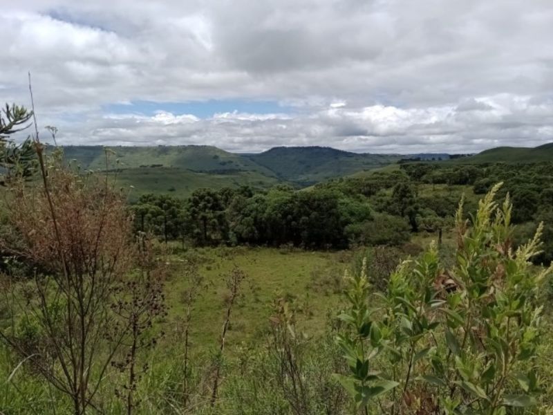 Fazenda 467ha, Morrinhos, Lages - SC, localizado em Lages - SC