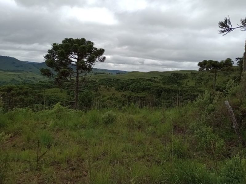 Fazenda 467ha, Morrinhos, Lages - SC, localizado em Lages - SC