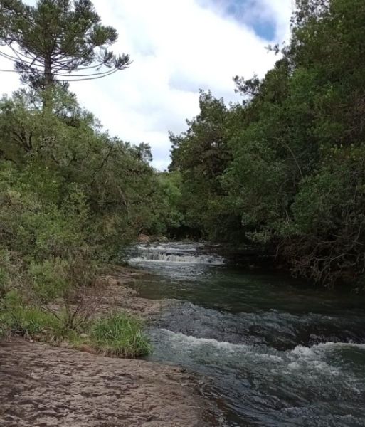 Fazenda 467ha, Morrinhos, Lages - SC, localizado em Lages - SC