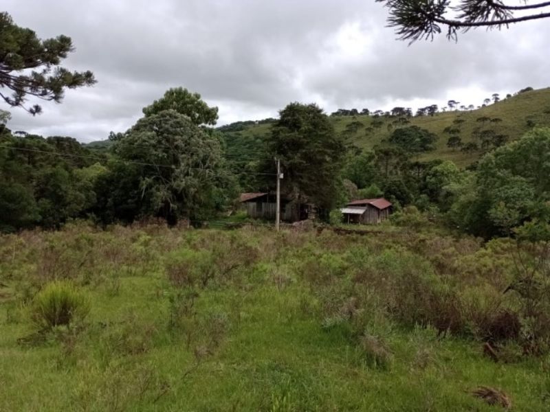 Fazenda 467ha, Morrinhos, Lages - SC, localizado em Lages - SC