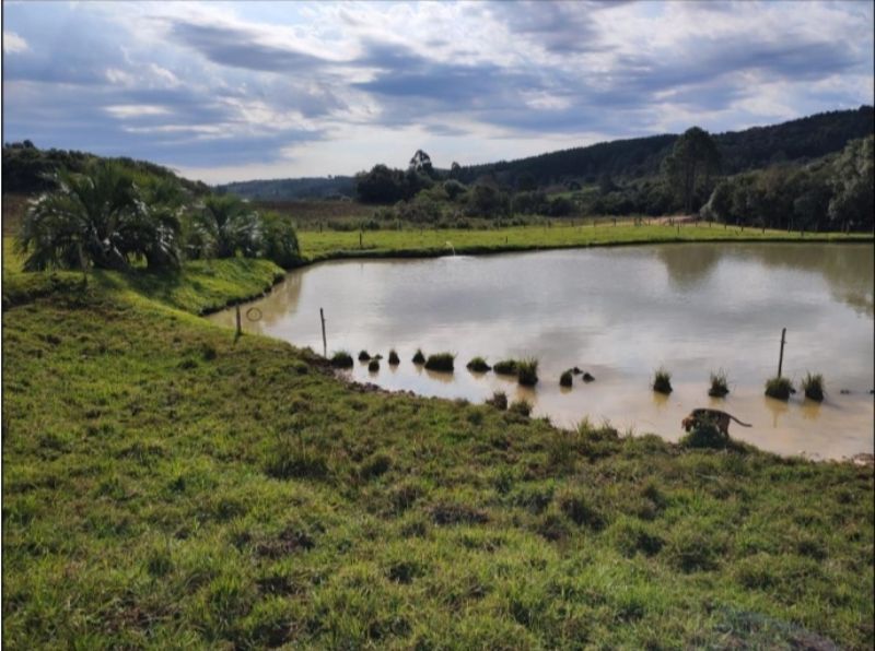 Imóvel Rural, 64.437,20m², Anita Garibaldi - SC, localizado em Anita Garibaldi - SC