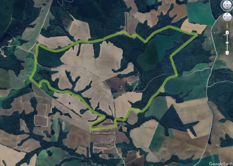 Imóvel Rural com 291,08 ha, Antonio Olinto - PR, localizado em Antonio Olinto - PR