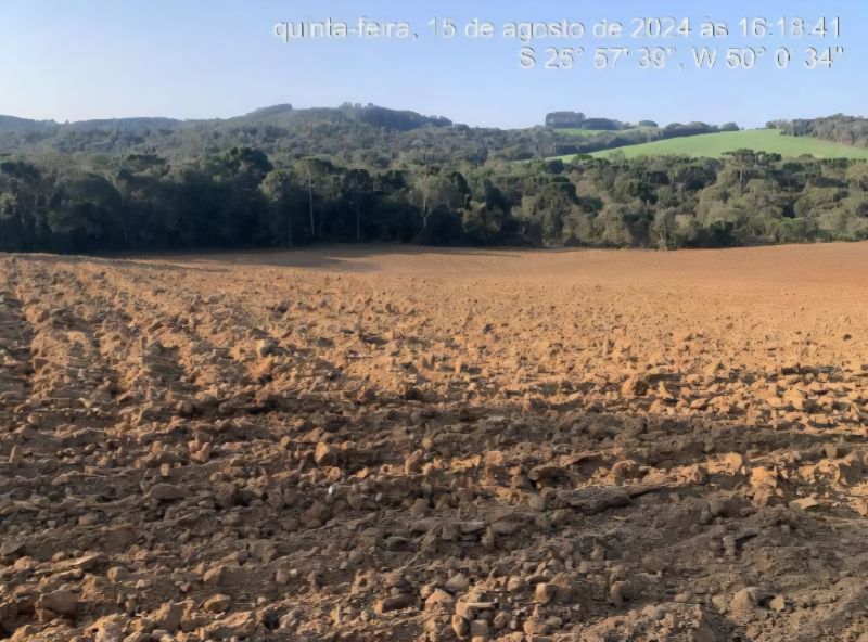 Imóvel Rural com 291,08 ha, Antonio Olinto - PR, localizado em Antonio Olinto - PR