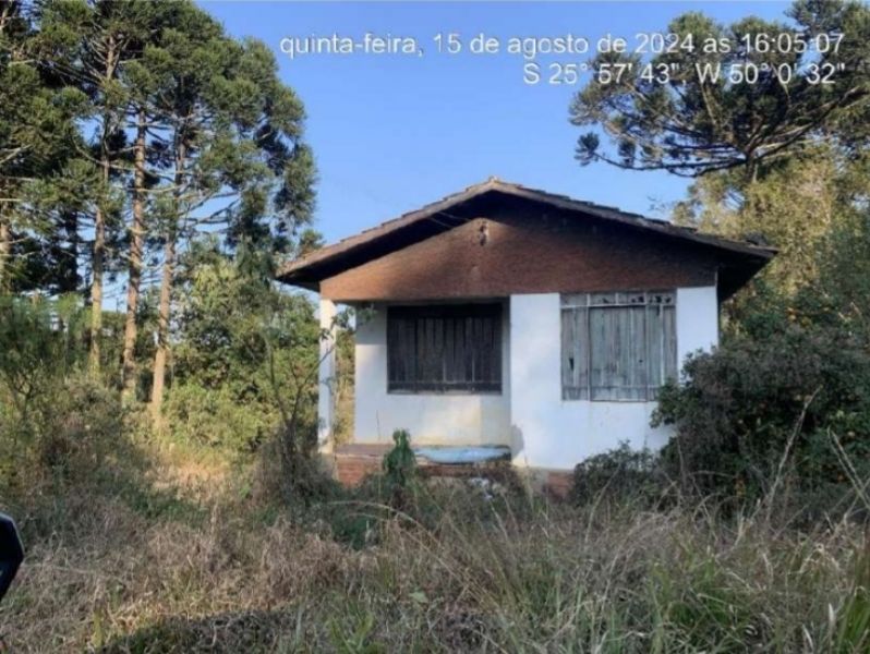 Imóvel Rural com 291,08 ha, Antonio Olinto - PR, localizado em Antonio Olinto - PR