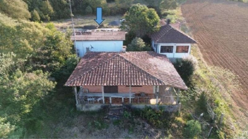Imóvel Rural com 291,08 ha, Antonio Olinto - PR, localizado em Antonio Olinto - PR