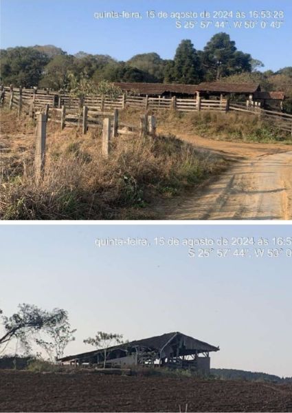 Imóvel Rural com 291,08 ha, Antonio Olinto - PR, localizado em Antonio Olinto - PR