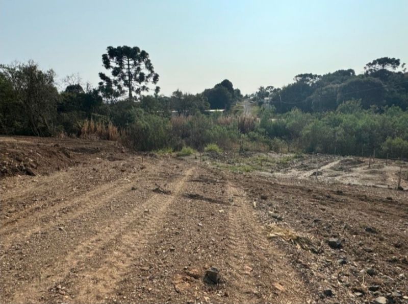 Imagem do imóvel 1/3 de Terreno Urbano, Santa Cecília - SC