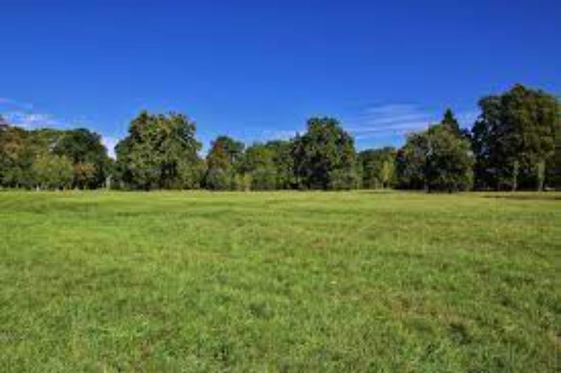 Imagem do imóvel TERRENO COM ÁREA DE 12.412,58M2