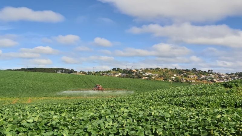 Imagem do imóvel Fazenda de soja em Fraiburgo