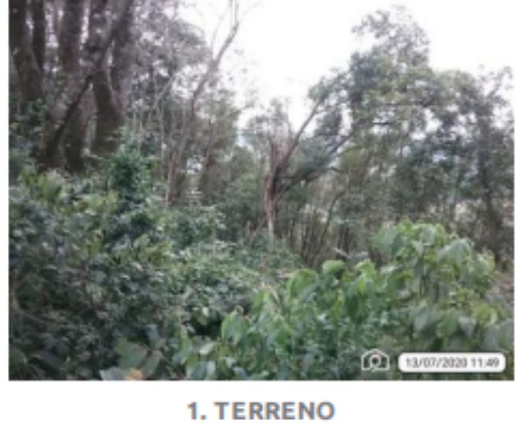 Lote 955,14m², Cordilheira Alta/SC, localizado em Cordilheira Alta - SC