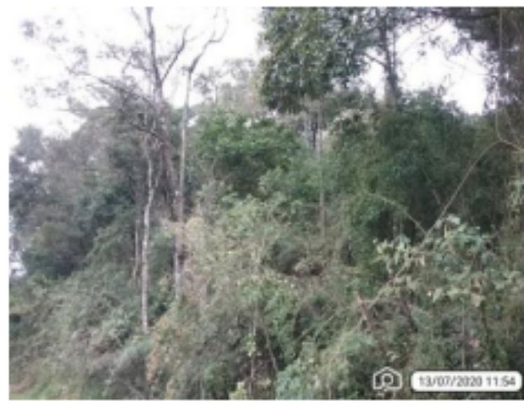 Lote 955,14m², Cordilheira Alta/SC, localizado em Cordilheira Alta - SC