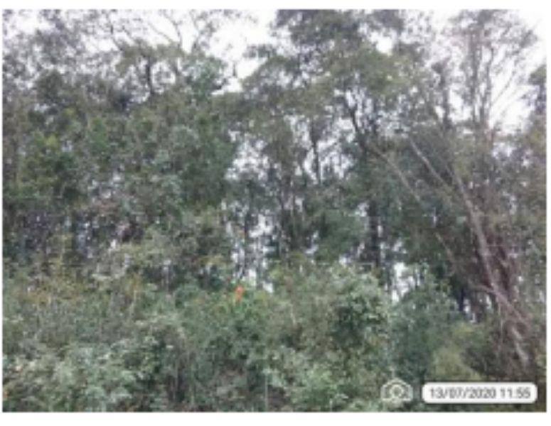 Lote 938,40m², cordilheira alta/sc.
