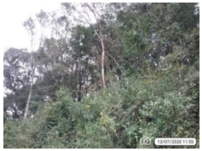 Lote 938,40m², Cordilheira Alta/SC, localizado em Cordilheira Alta - SC