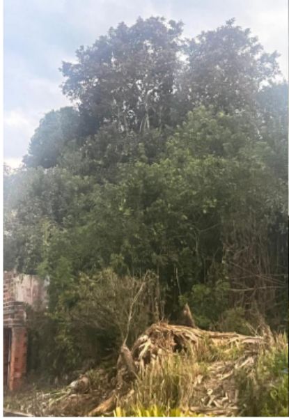 Imóvel mat. 8.491, Mafra/SC, localizado em Mafra - SC, bairro Jardim América