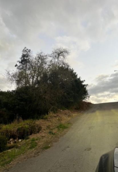 Imóvel mat. 8.491, Mafra/SC, localizado em Mafra - SC, bairro Jardim América