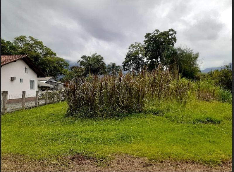 IMÓVEL MATRICULA 5.425, localizado em Schroeder - SC